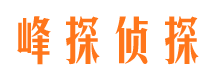 元宝侦探公司